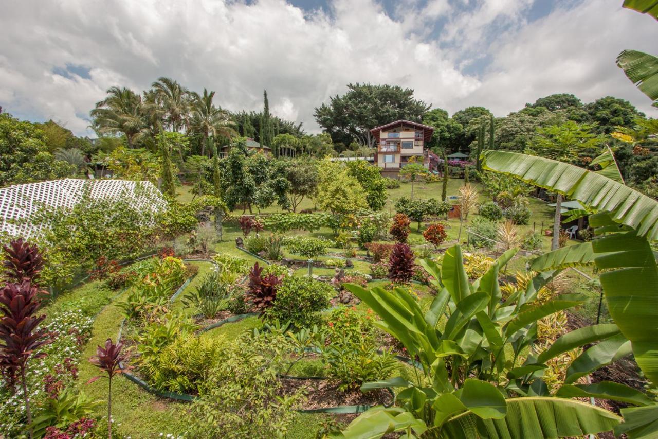Banyan Tree Sanctuary Guest House Kalaoa Bagian luar foto
