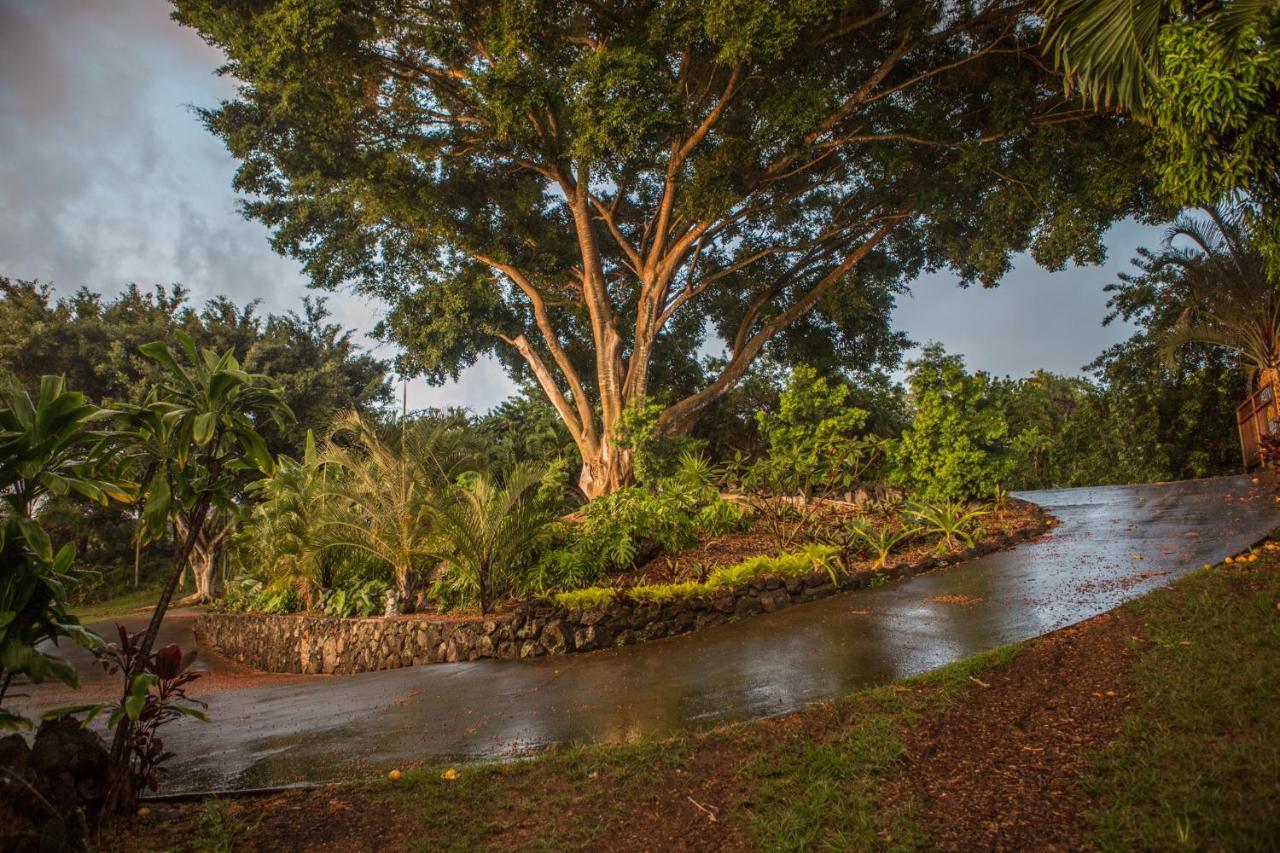 Banyan Tree Sanctuary Guest House Kalaoa Bagian luar foto